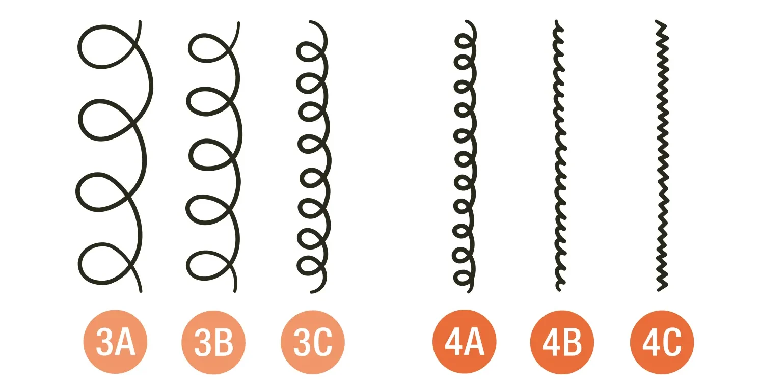 Hair Types Diagram